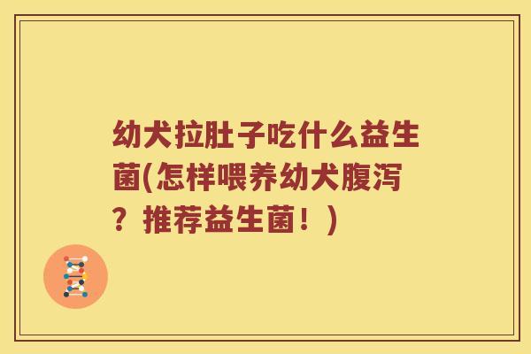 幼犬拉肚子吃什么益生菌(怎样喂养幼犬?推荐益生菌!) 幼犬拉肚子吃什么益生菌(怎样喂养幼犬?推荐益生菌!)