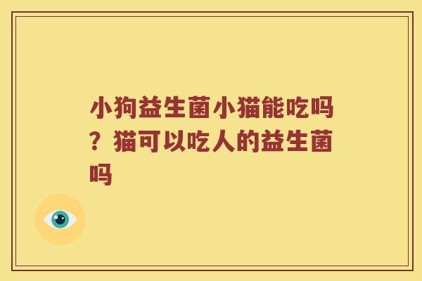 小狗益生菌小猫能吃吗？猫可以吃人的益生菌吗
