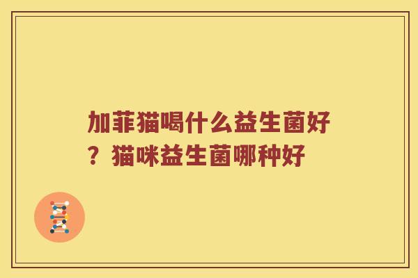 加菲猫喝什么益生菌好?猫咪益生菌哪种好 加菲猫喝什么益生菌好?猫咪益生菌哪种好
