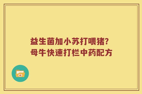 益生菌加小苏打喂猪？母牛快速打栏配方