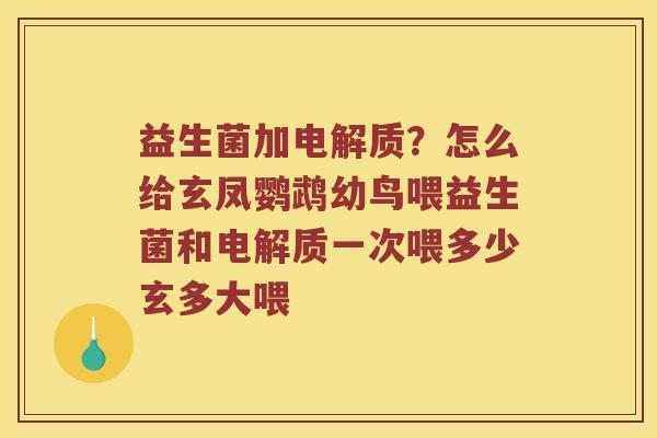 益生菌加电解质？怎么给玄凤鹦鹉幼鸟喂益生菌和电解质一次喂多少玄多大喂