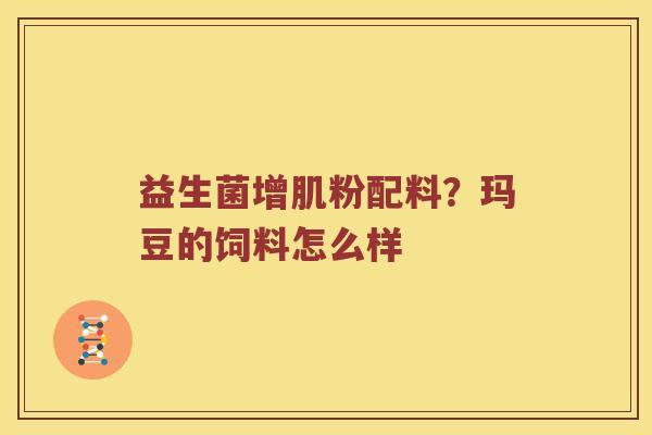 益生菌增肌粉配料？玛豆的饲料怎么样