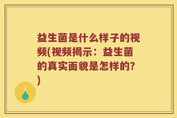 益生菌是什么样子的视频(视频揭示：益生菌的真实面貌是怎样的？)