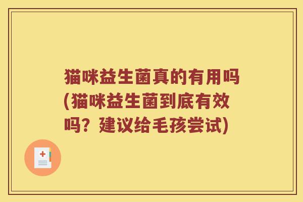 猫咪益生菌真的有用吗(猫咪益生菌到底有效吗？建议给毛孩尝试)