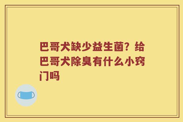 巴哥犬缺少益生菌？给巴哥犬除臭有什么小窍门吗