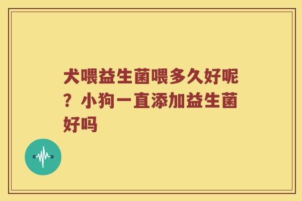 犬喂益生菌喂多久好呢?小狗一直添加益生菌好吗 犬喂益生菌喂多久好呢?小狗一直添加益生菌好吗
