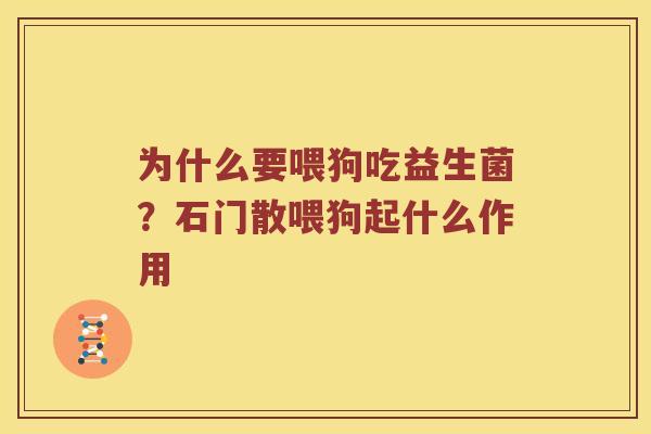 为什么要喂狗吃益生菌？石门散喂狗起什么作用