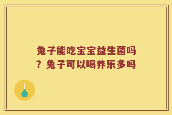 兔子能吃宝宝益生菌吗？兔子可以喝养乐多吗
