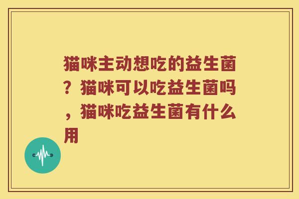 猫咪主动想吃的益生菌？猫咪可以吃益生菌吗，猫咪吃益生菌有什么用