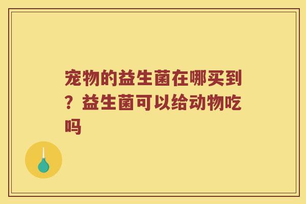 宠物的益生菌在哪买到？益生菌可以给动物吃吗