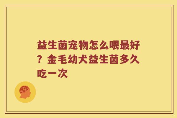 益生菌宠物怎么喂最好？金毛幼犬益生菌多久吃一次
