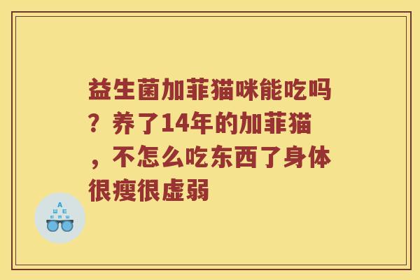 益生菌加菲猫咪能吃吗？养了14年的加菲猫，不怎么吃东西了身体很瘦很虚弱