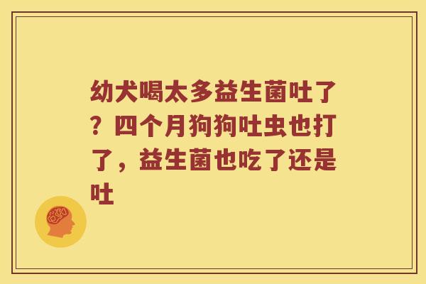 幼犬喝太多益生菌吐了？四个月狗狗吐虫也打了，益生菌也吃了还是吐