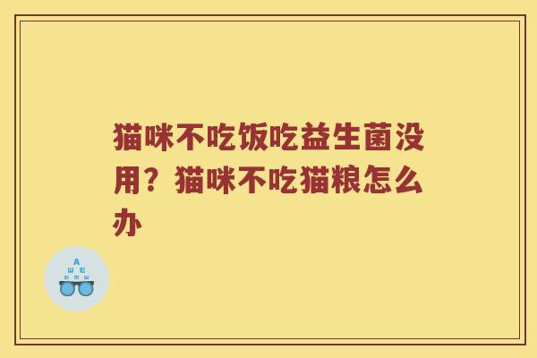 猫咪不吃饭吃益生菌没用？猫咪不吃猫粮怎么办
