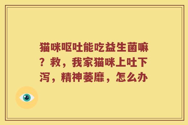 猫咪能吃益生菌嘛?救,我家猫咪上吐下泻,精神萎靡,怎么办 猫咪能吃益生菌嘛?救,我家猫咪上吐下泻,精神萎靡,怎么办