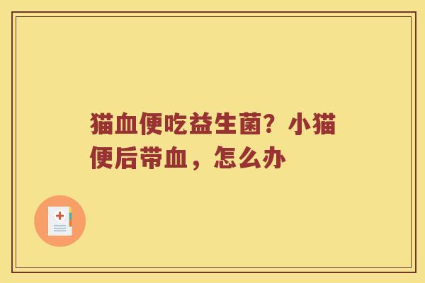 猫血便吃益生菌？小猫便后带血，怎么办