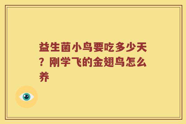 益生菌小鸟要吃多少天?刚学飞的金翅鸟怎么养 益生菌小鸟要吃多少天?刚学飞的金翅鸟怎么养
