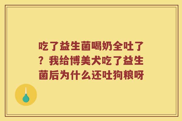 吃了益生菌喝奶全吐了?我给博美犬吃了益生菌后为什么还吐狗粮呀 吃了益生菌喝奶全吐了?我给博美犬吃了益生菌后为什么还吐狗粮呀