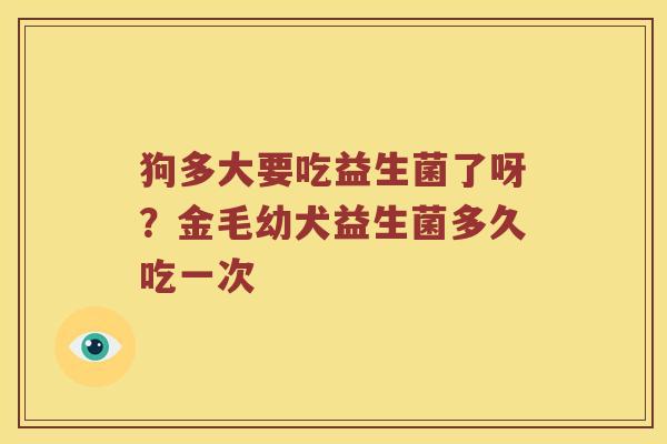 狗多大要吃益生菌了呀？金毛幼犬益生菌多久吃一次