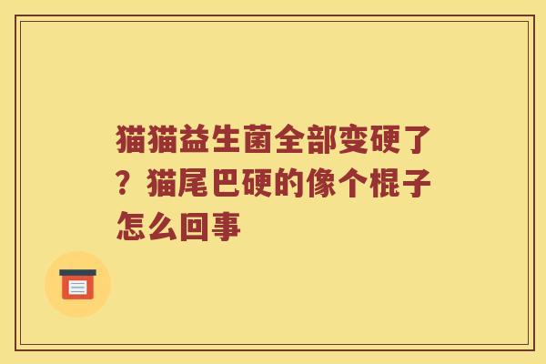 猫猫益生菌全部变硬了？猫尾巴硬的像个棍子怎么回事