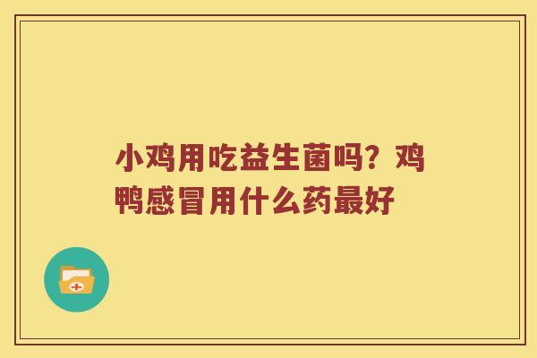 小鸡用吃益生菌吗?鸡鸭用什么药好 小鸡用吃益生菌吗?鸡鸭用什么药好