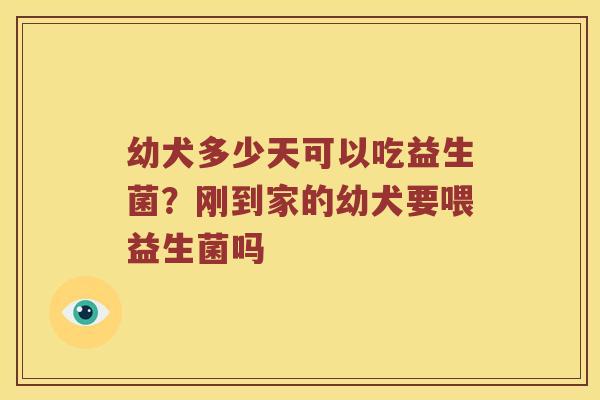 幼犬多少天可以吃益生菌？刚到家的幼犬要喂益生菌吗