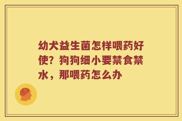 幼犬益生菌怎样喂药好使？狗狗细小要禁食禁水，那喂药怎么办