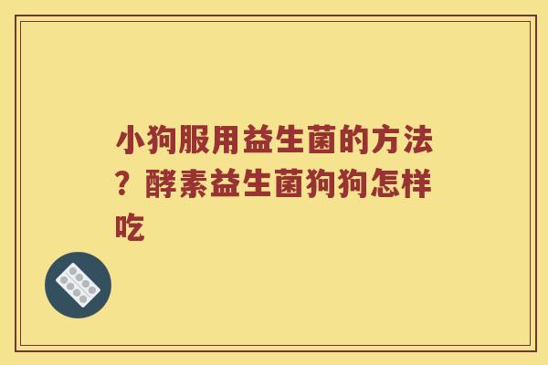 小狗服用益生菌的方法？酵素益生菌狗狗怎样吃