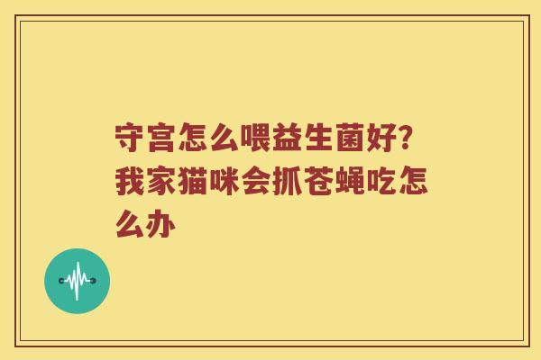 守宫怎么喂益生菌好？我家猫咪会抓苍蝇吃怎么办