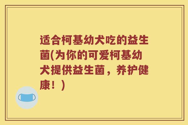 适合柯基幼犬吃的益生菌(为你的可爱柯基幼犬提供益生菌,养护健康!) 适合柯基幼犬吃的益生菌(为你的可爱柯基幼犬提供益生菌,养护健康!)