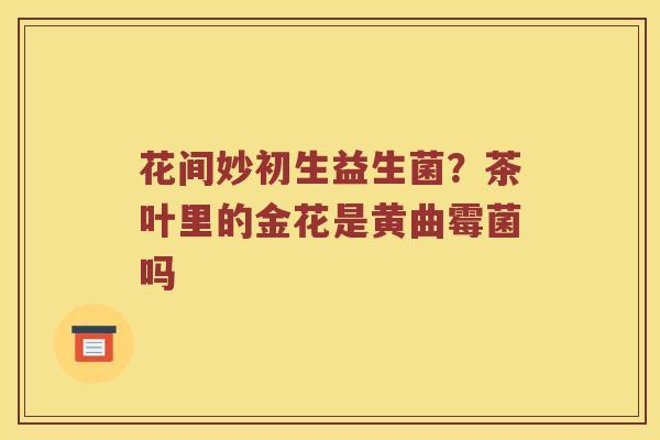 花间妙初生益生菌？茶叶里的金花是黄曲霉菌吗