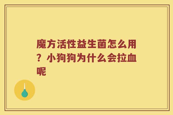 魔方活性益生菌怎么用?小狗狗为什么会拉呢 魔方活性益生菌怎么用?小狗狗为什么会拉呢