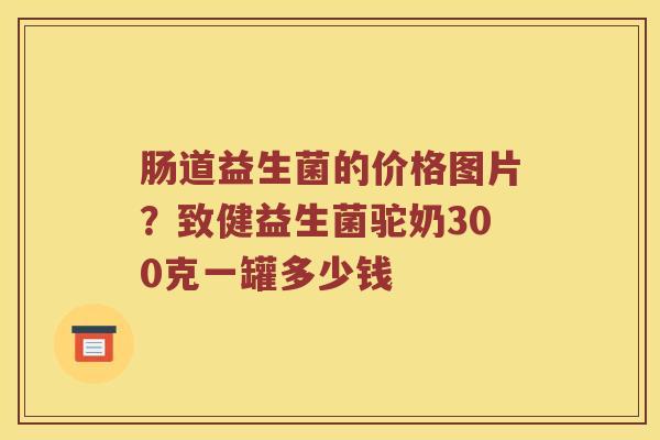 肠道益生菌的价格图片？致健益生菌驼奶300克一罐多少钱