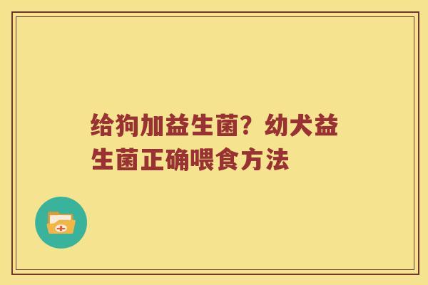 给狗加益生菌？幼犬益生菌正确喂食方法