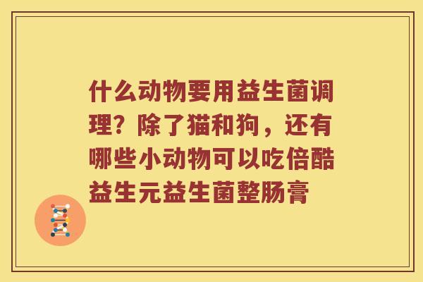 什么动物要用益生菌调理？除了猫和狗，还有哪些小动物可以吃倍酷益生元益生菌整肠膏