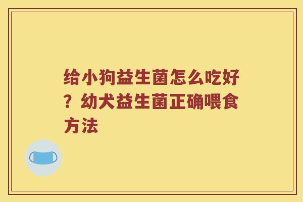 给小狗益生菌怎么吃好？幼犬益生菌正确喂食方法