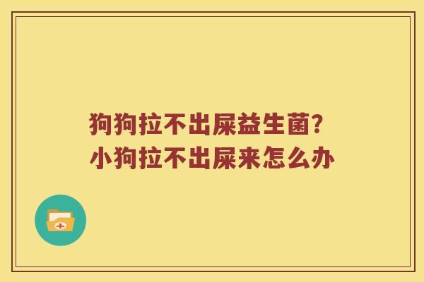 狗狗拉不出屎益生菌？小狗拉不出屎来怎么办