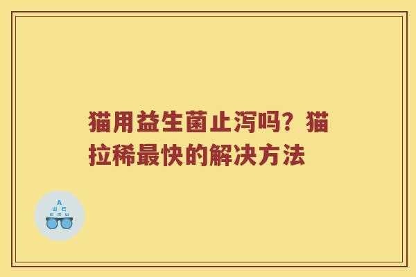猫用益生菌止泻吗？猫拉稀最快的解决方法
