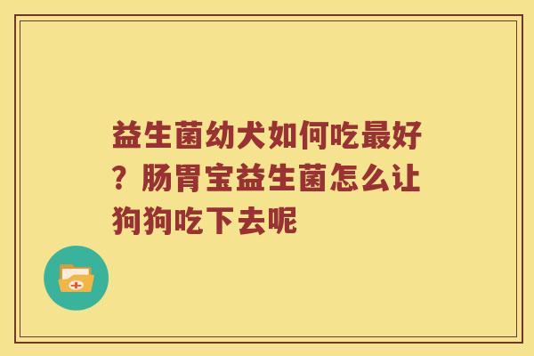 益生菌幼犬如何吃最好？肠胃宝益生菌怎么让狗狗吃下去呢