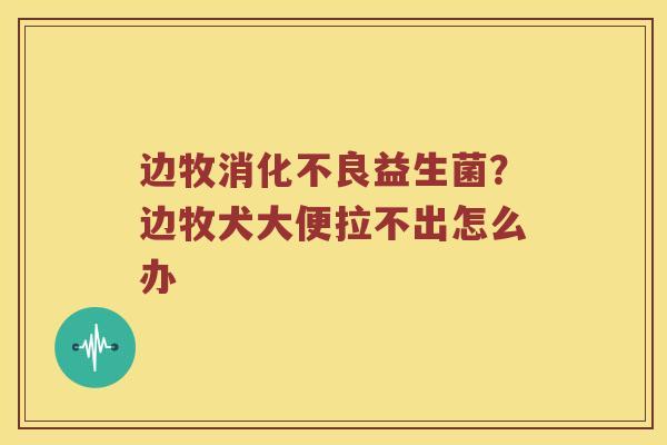 边牧消化不良益生菌？边牧犬大便拉不出怎么办