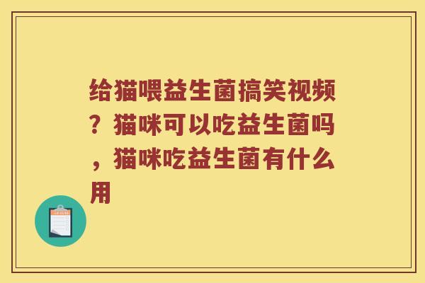 给猫喂益生菌搞笑视频？猫咪可以吃益生菌吗，猫咪吃益生菌有什么用