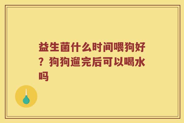益生菌什么时间喂狗好？狗狗遛完后可以喝水吗