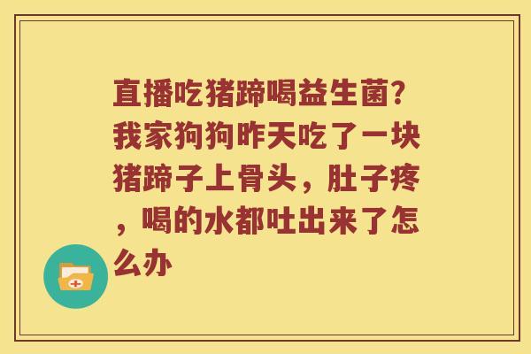 直播吃猪蹄喝益生菌？我家狗狗昨天吃了一块猪蹄子上骨头，肚子疼，喝的水都吐出来了怎么办