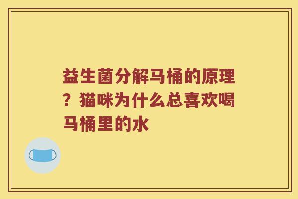 益生菌分解马桶的原理？猫咪为什么总喜欢喝马桶里的水