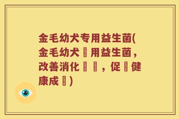 金毛幼犬专用益生菌(金毛幼犬專用益生菌，改善消化問題，促進健康成長)