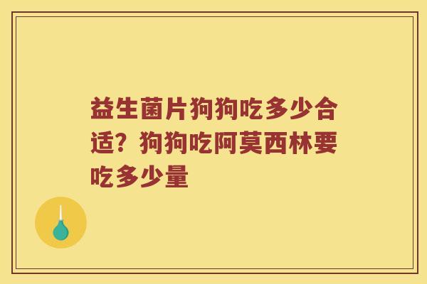 益生菌片狗狗吃多少合适？狗狗吃阿莫西林要吃多少量