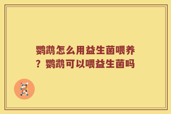 鹦鹉怎么用益生菌喂养？鹦鹉可以喂益生菌吗