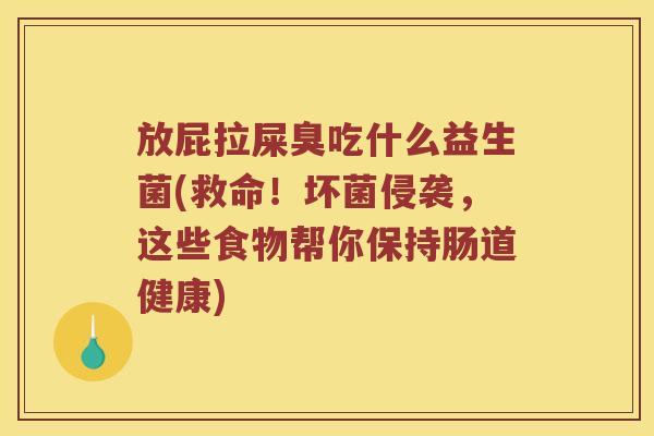 放屁拉屎臭吃什么益生菌(救命！坏菌侵袭，这些食物帮你保持肠道健康)
