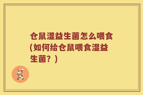 仓鼠湿益生菌怎么喂食(如何给仓鼠喂食湿益生菌？)