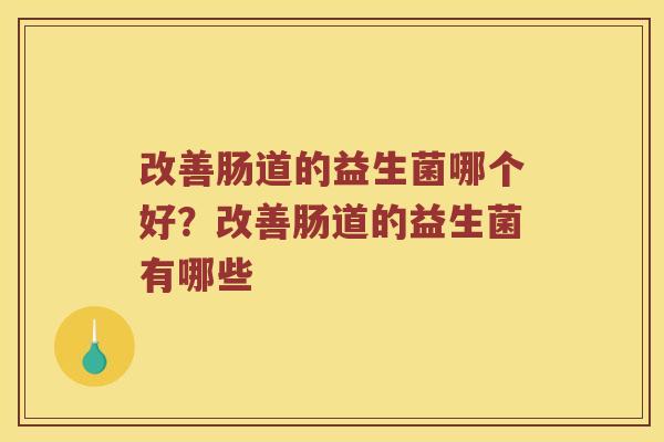改善肠道的益生菌哪个好？改善肠道的益生菌有哪些